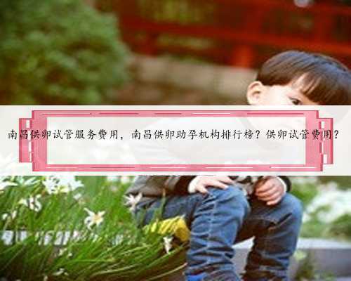 上海助孕医院咨询电话与自然受孕的成功率比较